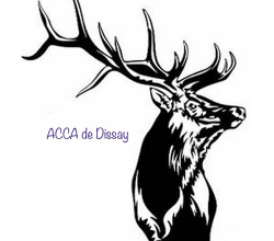 Logo ACCA