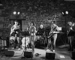 Les musiciens du groupe lors d'une représentation