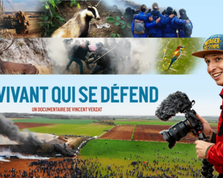 Affiche du film