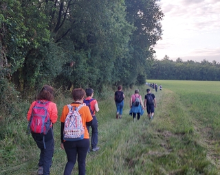 Vue de promeneurs, de dos, sur un chemin en bordure de foêt
