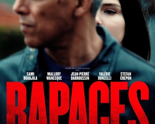 Affiche du film Rapaces