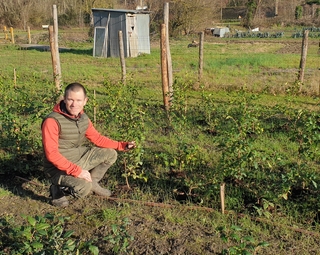 Photo d'Erwan Magueur, acroupi au milieu de sa plantation de théiers