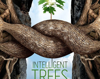 Affiche du film L'intelligence des arbres