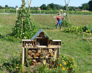 Jardin en permaculture