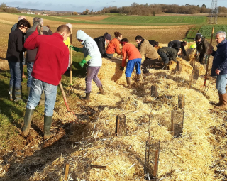 Plantation participative en 2019