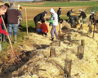 Plantation participative de haie