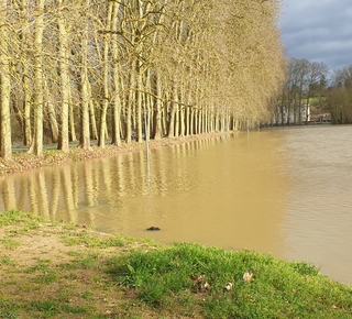 Vue du site de la Plage à Dissay lors de la crue du Clain, le 14 février 2026.