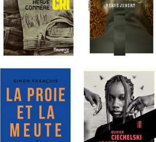 Vue des couvertures des 4 livres du prix des lecteurs Noir Dissay