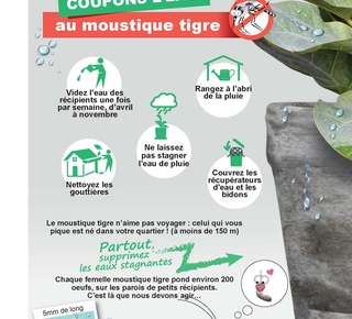 Affiche Coupons l'eau au moustique tigre