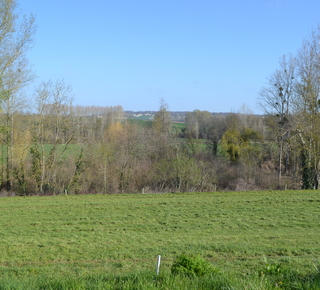 Vue d'un paysage de Dissay : prairie avec des arbres en fond