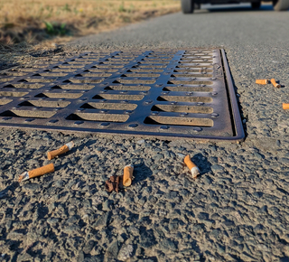 Vue de mégots de cigarettes aux abords d'un avaloir d'eau pluviale