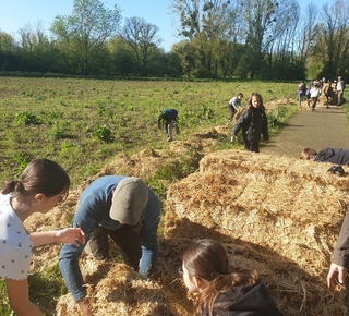 Un groupe de collégiens lors de la plantation d'une haie à Dissay le 9 avril 2024