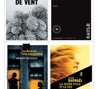 Mosaïque des couvertures des 4 livres choisis pour le prix des lecteurs Noir Dissay