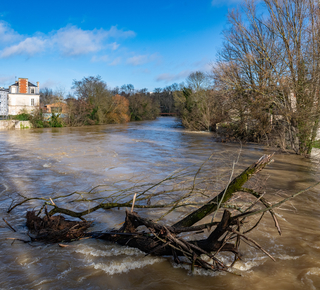 Vue d'un cours d'eau en crue charrayant un trons d'arbre avec sur la rive des habitations