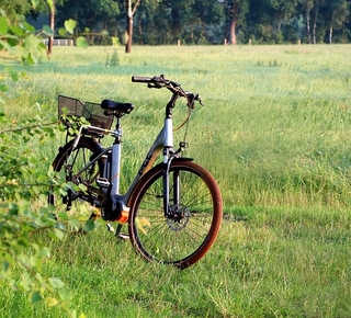 photo d'un vélo électrique dans l'herbe à côté d'un bosquet