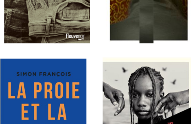 Vue des couvertures des 4 livres du prix des lecteurs Noir Dissay