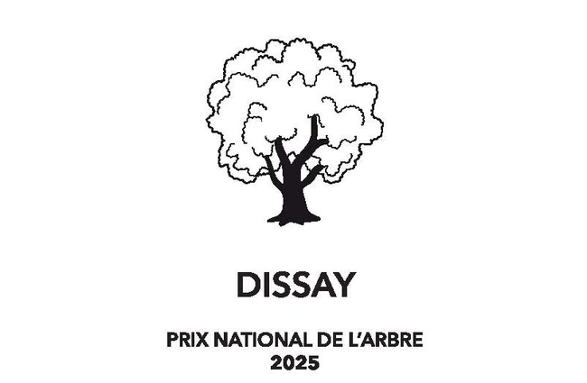 Visuel représentant un arbre sur fond blanc pour le prix national de l'abre 2025 reçu par la commune de Dissay