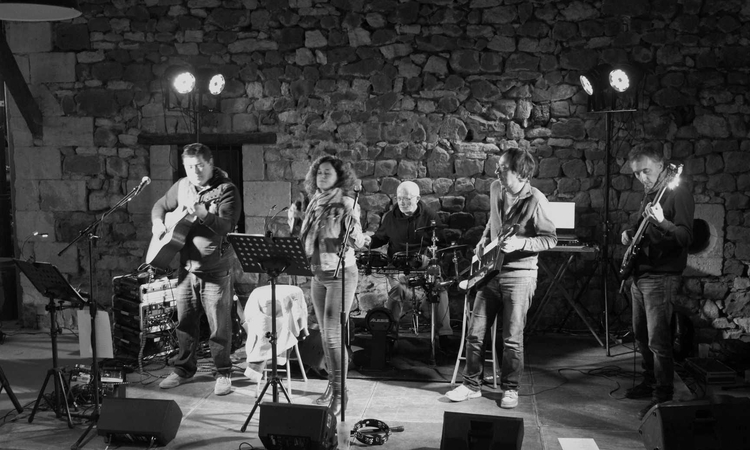 Les musiciens du groupe lors d'une représentation