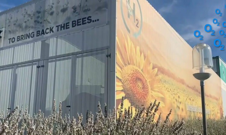 Vue de la facade de l'entreprise Biosynthis à Dissay