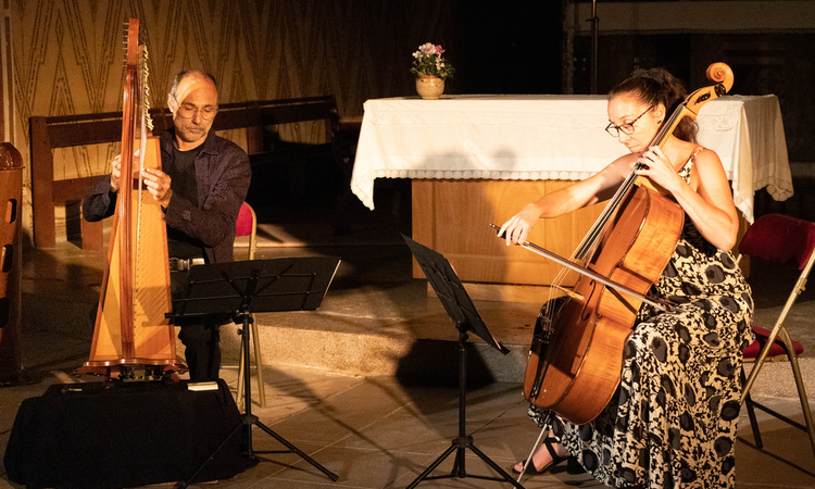 Photo d'un concert de Berthomier et Bougouin