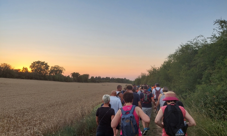 Vue de marcheurs lors de la balade gourmande 2023