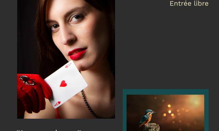 Affiche de l'exposition