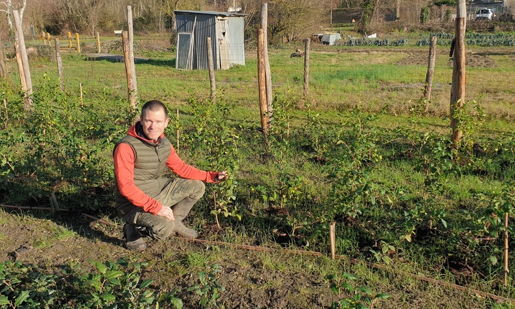 Photo d'Erwan Magueur, acroupi au milieu de sa plantation de théiers