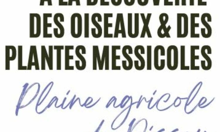 Titre de l'événement extrait de l'affiche : A la découverte des oiseaux et des plantes messicoles
