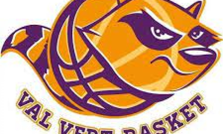 Logo ValVert Basket
