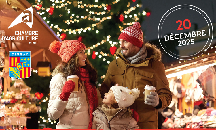 Visuel montrant un couple lors d'un marché de Noël