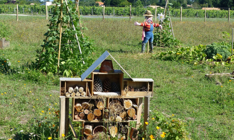 Jardin en permaculture