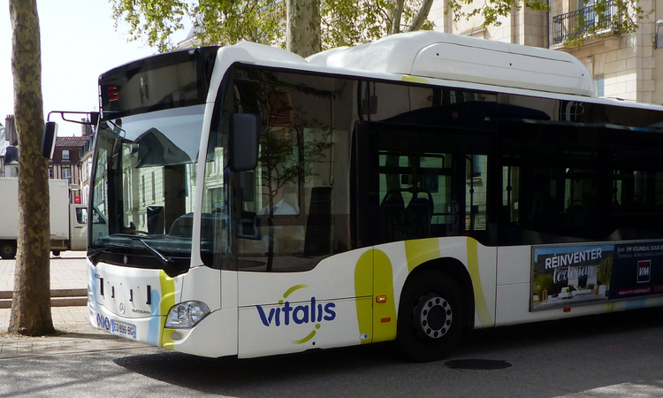 image Vitalis