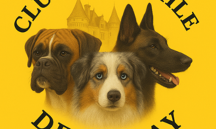 Visuel du club cynophile présentant un dessin de trois têtes de chiens de races différentes