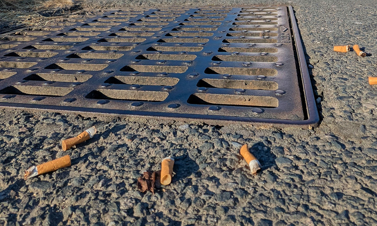 Vue de mégots de cigarettes aux abords d'un avaloir d'eau pluviale