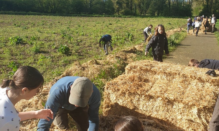 Un groupe de collégiens lors de la plantation d'une haie à Dissay le 9 avril 2024