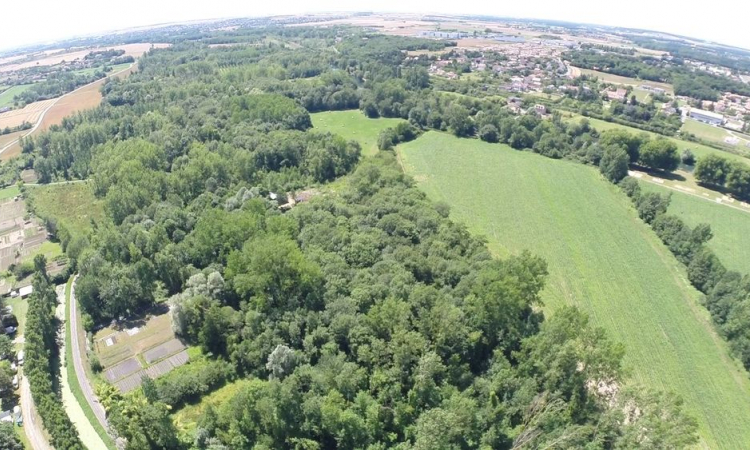 Vue aérienne des marais des Louardieres