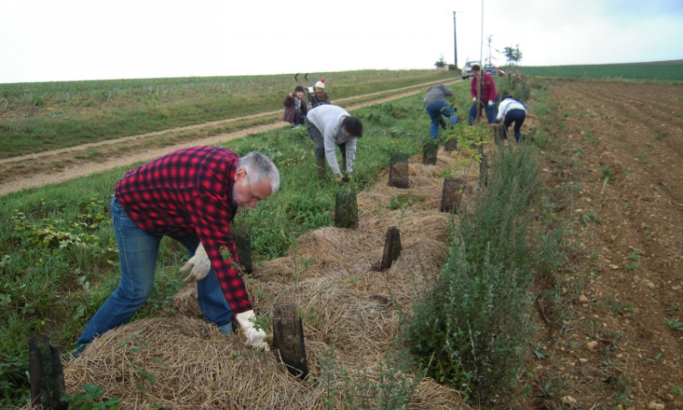 L'ABC (Atlas de Biodiversité Communale)