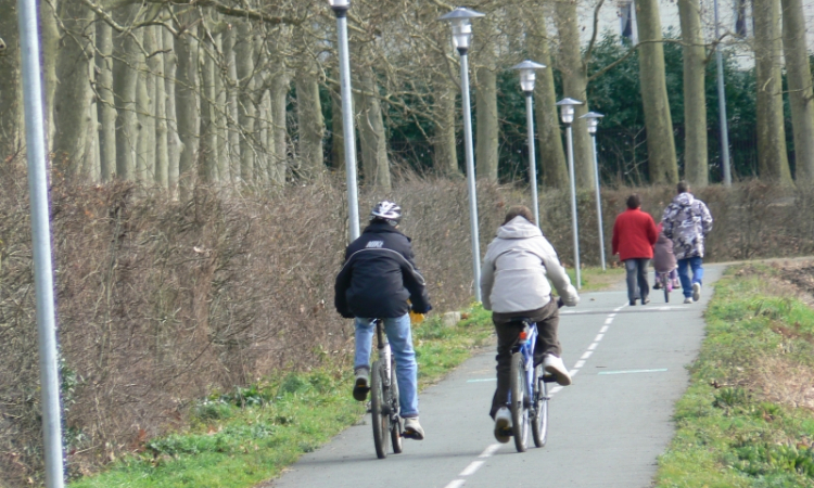 Pistes cyclables